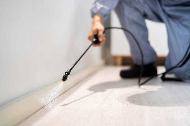Licensed Pest Control service in Loyal, WI - Show Me Pest Control